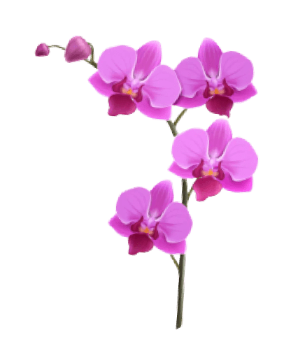 flower-image
