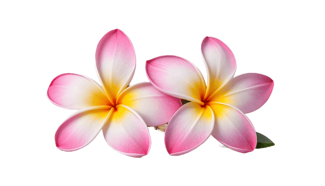 flower-footer
