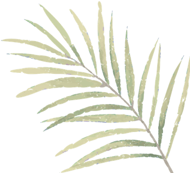 branch