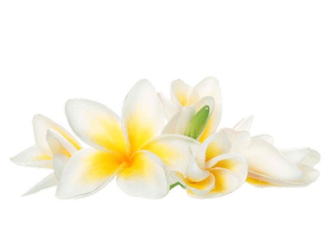 flower 2