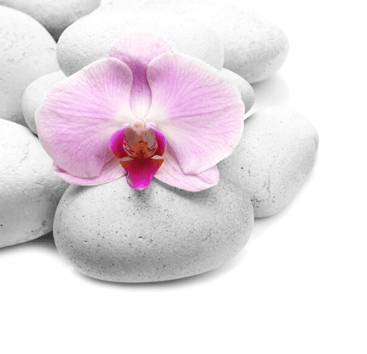 flower-image